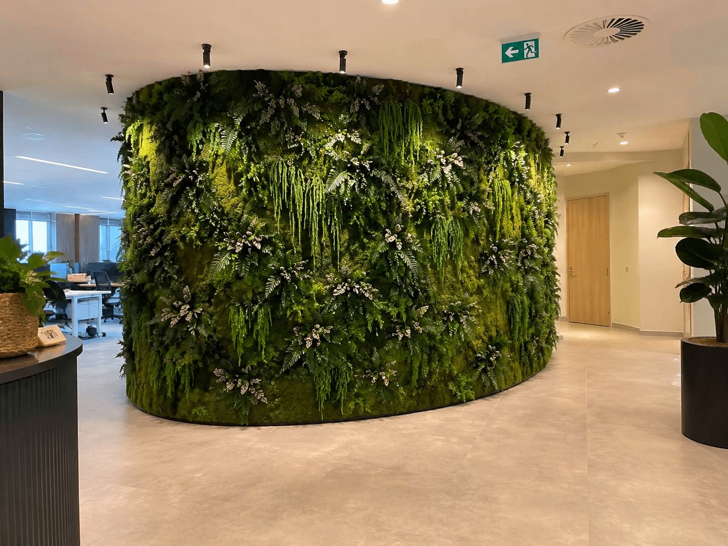 Création végétale sur mesure en bureaux